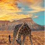 Inspiration Friday (#2)